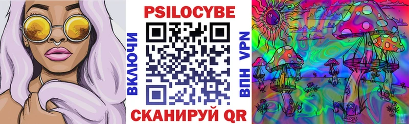 дарнет шоп  Облучье  Псилоцибиновые грибы Magic Shrooms 